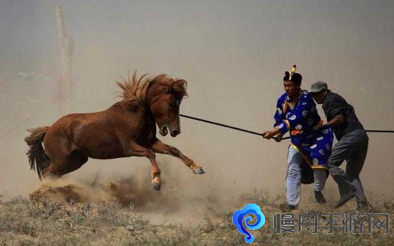 领地人生MMO马怎么驯服 驯马方法介绍