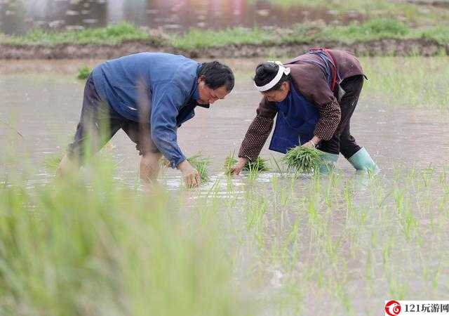 夫妻 108 种插秧法图片：探索别样亲密方式