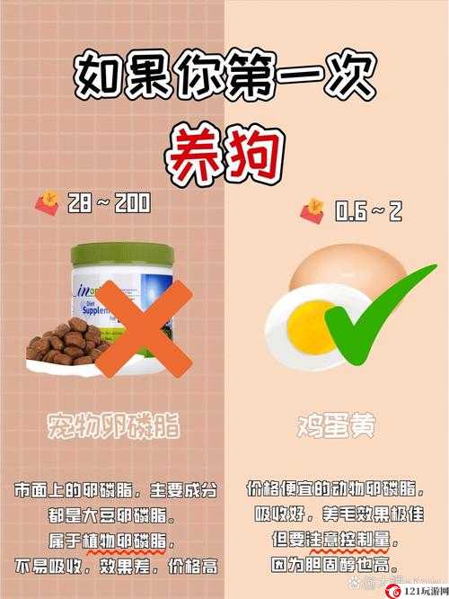 幻想战记新手指引大姐姐秘籍